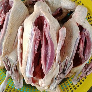 Vịt Xiêm